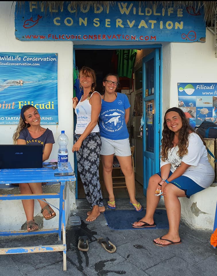 Pronto soccorso tartarughe marine