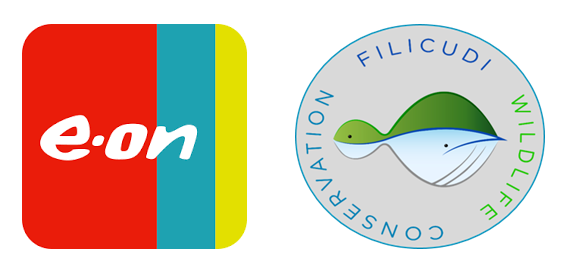 Capodeolo Filicudi Wildlife Conservation