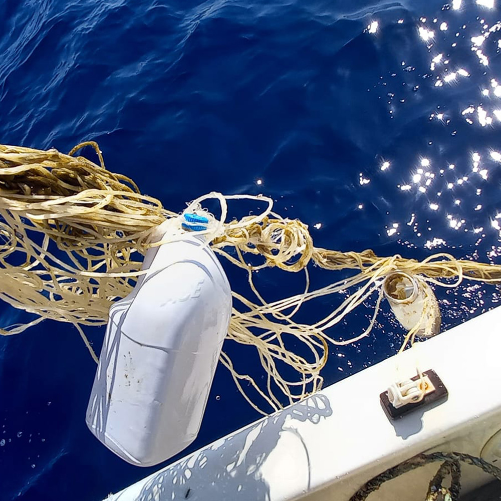 Inquinanti e Plastica