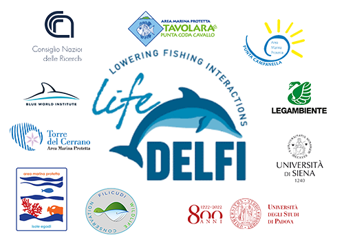 Life Delfi Filicudi Wildlife Conservation