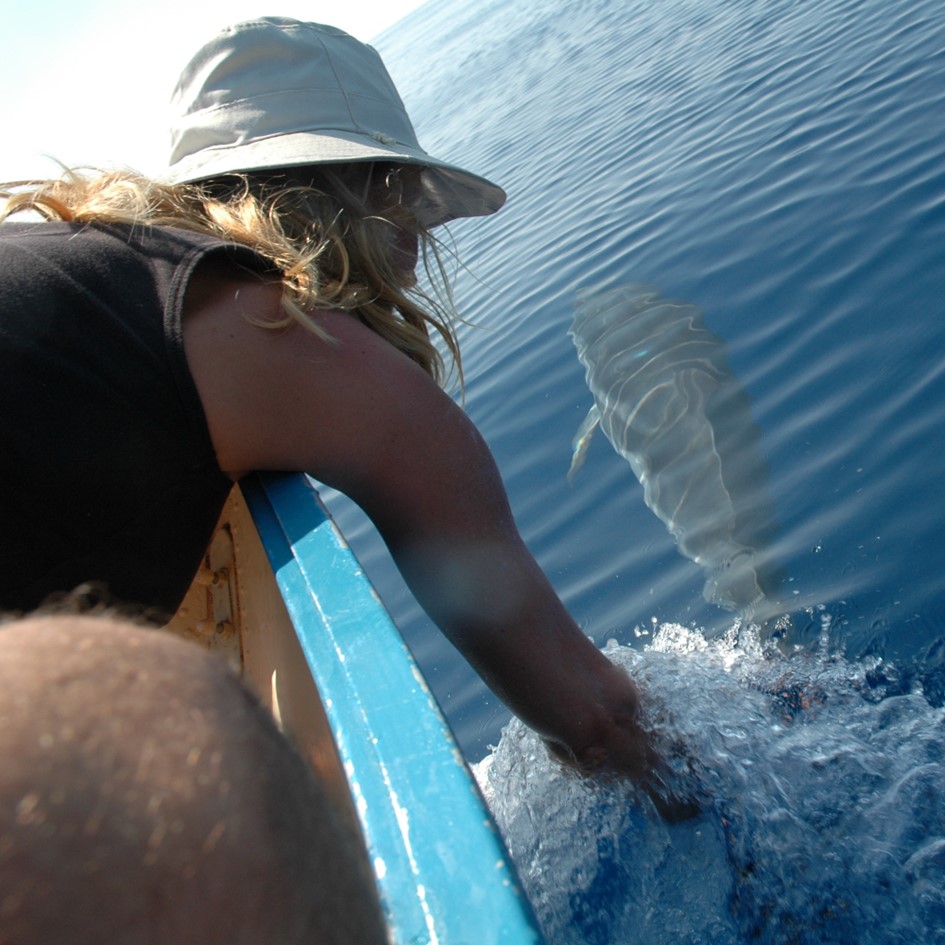 Monica Francesca Blasi